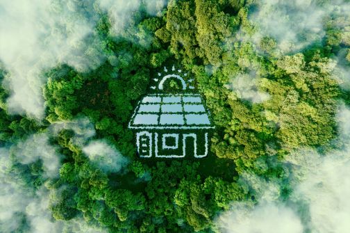 Ein Wald aus der Vogelperspektive mit einem See in Hausform, um grüne Energie zu symbolisieren